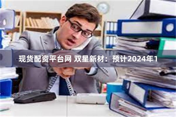 现货配资平台网 双星新材：预计2024年1