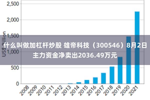 什么叫做加杠杆炒股 雄帝科技（300546）8月2日主力资金