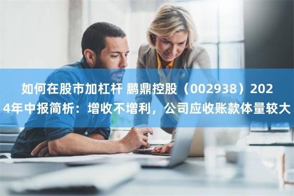 如何在股市加杠杆 鹏鼎控股（002938）2024年中报简析