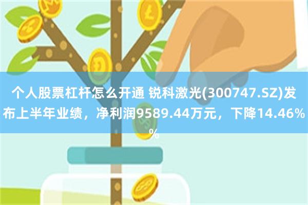 个人股票杠杆怎么开通 锐科激光(300747.SZ)发布上半