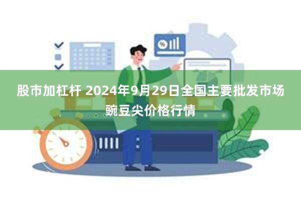 股市加杠杆 2024年9月29日全国主要批发市场豌豆尖价格行