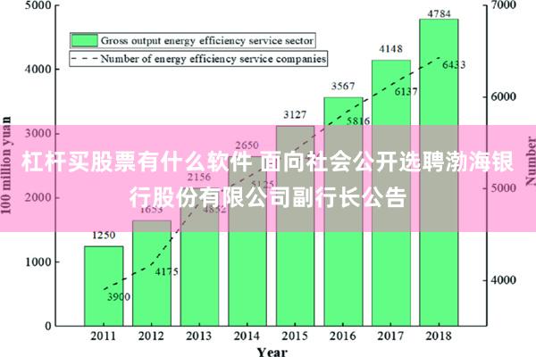 杠杆买股票有什么软件 面向社会公开选聘渤海银行股份有限公司副行长公告