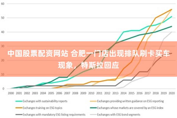 中国股票配资网站 合肥一门店出现排队刷卡买车现象，特斯拉回应