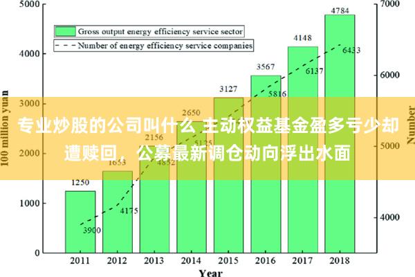 专业炒股的公司叫什么 主动权益基金盈多亏少却遭赎回，公募最新