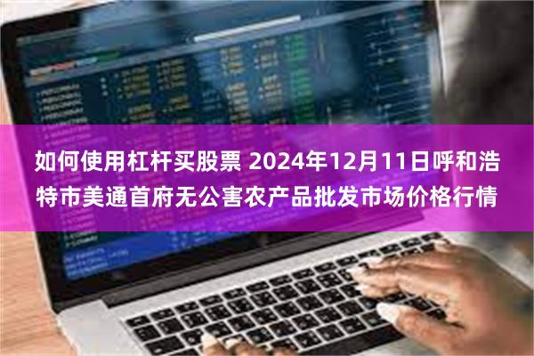 如何使用杠杆买股票 2024年12月11日呼和浩特市美通首府无公害农产品批发市场价格行情