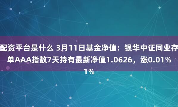 配资平台是什么 3月11日基金净值：银华中证同业存单AAA指数7天持有最新净值1.0626，涨0.01%