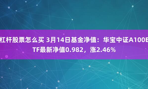 杠杆股票怎么买 3月14日基金净值：华宝中证A100ETF最新净值0.982，涨2.46%